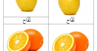 Learning Arabic Msa Fabiennem Nomenclature Fruit Arabe Final Pdf Fruit Learning Arabic Arabe