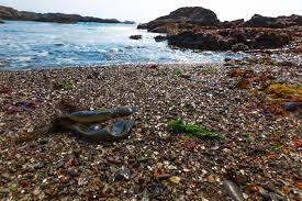 6 Glass Beaches That Will Change Your Life Orbitz Beach Glass Sea Glass Beach Beach Local