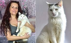 Most adoption centers strongly encourage pet should i get a male or female cat? Cat Which Is Both Male And Female Is Set For Gender Reassignment Surgery Daily Mail Online