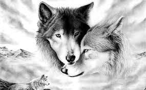 Обои волки