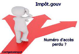 Comment trouver le numéro d'une personne en ligne. Impot Numero D Acces En Ligne Perdu Que Faire Corrige Ton Impot