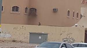 فلل للبيع بحي السويدي في الرياض و قصور للبيع بالرياض. Ù‡Ù„Ø¹ Ø¨ÙŠÙ† Ø§Ù„Ø£Ø·ÙØ§Ù„ ÙˆØ§Ù„Ù†Ø³Ø§Ø¡ Ù‚Ø±ÙˆØ¯ ØªØªØ³Ù„Ù‚ Ù…Ù†Ø§Ø²Ù„ Ø­ÙŠ Ø§Ù„Ø³ÙˆÙŠØ¯ÙŠ Ø¨Ø§Ù„Ø±ÙŠØ§Ø¶ ØµÙˆØ± ØµØ­ÙŠÙØ© ØªÙˆØ§ØµÙ„ Ø§Ù„Ø§Ù„ÙƒØªØ±ÙˆÙ†ÙŠØ©
