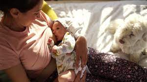 144 Breastfeeding Dog Videos And Hd Footage Getty Images