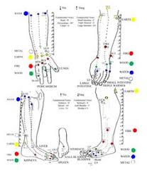 36 best back shu images acupuncture acupressure