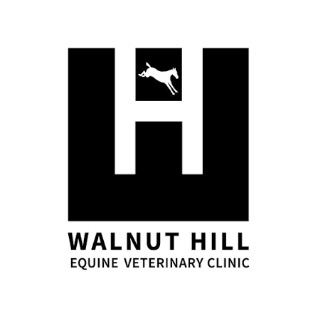 Walnut Hill Equine Veterinary Clinic | Henley in Arden