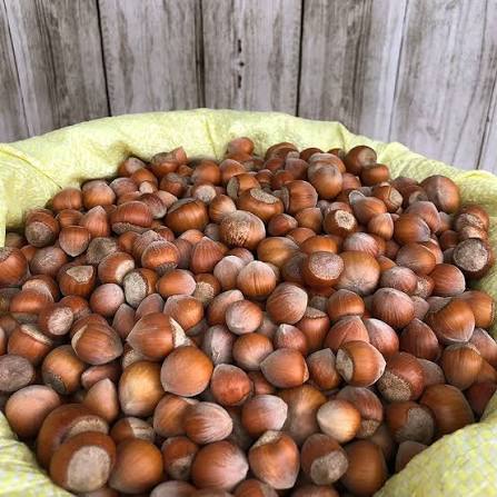Kabuklu Fındık 1Kg