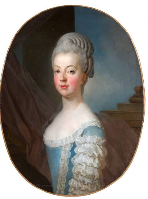 Marie-Antoinette's Grand Return to Versailles | My French Country Home  Magazine