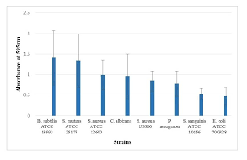 Image result for Aptosimum albomarginatum