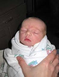 Bulletin 343 January 11, 2009