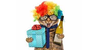 Eu iti urez putin dar din inima, putin noroc atunci cand ai nevoie de el, prieteni putini dar adevarati, putina. Mesaje Haioase De La Multi Ani Fie Ca Cel Mai Ursuz Dintre Prietenii Tai Sa Se Bucure La Aceste Mesaje