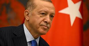 Erdoğan to Putin: Return Crimea to 'rightful owners'