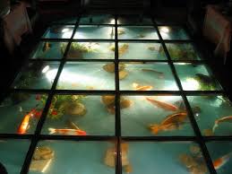 I Would Love To Have Fish In My Floor It S The Only Way The Jerk Cats Would Leave Them The Eff Alone Glass Floor Indoor Pond Flooring