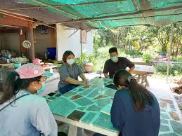 สำรวจแปลงเกษตรกร เพื่อเตรียมความพร้อมในการจัดทำกองล่อด้วงแรดมะพร้าว –  กรมส่งเสริมการเกษตร