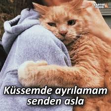 Adli Kullanicinin Sozler Panosundaki Pin 2020 Guzel Soz