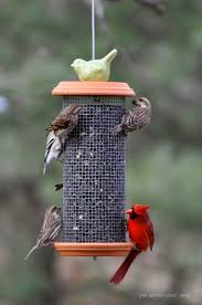 Fabriquer Une Mangeoire D Oiseaux En Recuperant C Est Facile Voici 10 Modeles Pour Vous Inspirer Mangeoire Oiseau Mangeoires Pour Oiseaux Faites Maison Et Mangeoire