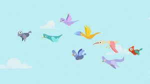 Flyingbirds Gifs Get The Best Gif On Giphy