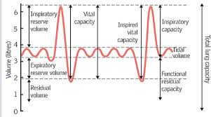 interpretation and evaluation of pulmonary function tests