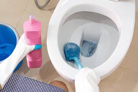 Keep Your Toilet Bowl Naturally Clean Bill Fenwick Plumbing In 2020 Toilet Bowl Toilet Repair Cleaning