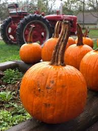 Image result for tbn:0PJB32OL7JwfOM::farm4.static.flickr.com/3324/3329876139_f2d551139f.jpg