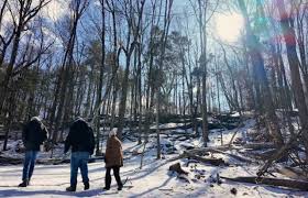 New Homes for the Snowmen of Stroudsburg