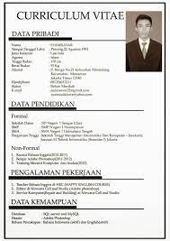 Kamu harus rapih serta kreatif agar hrd sangat tertarik untuk melihatnya. 15 Contoh Cv Daftar Riwayat Hidup Terbaru Dan Terlengkap Themoondoggies