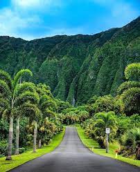 Hawaii Travel Vacation On Instagram Hoomaluhia Botanical Garden On Oahu Have You Been Yet Follow Haw Hawaii Travel Vacation Trips Vacation Places