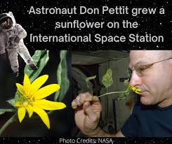 Verdant View Farm Bed and Breakfast