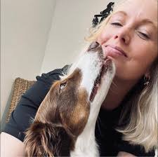 I need some help looking for a solo dog boarder, experienced with large  dogs and reactivity. But an all round goofy affectionate teenage pup. If  anyone can recommend? Ideally West cornwall but