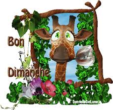 Résultat de recherche d'images pour "gifs bon dimanche humour"