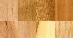 Rubber wood is the component of rubber trees. What Is Rubber Wood 5 Facts You Should Know Start Woodworking Now