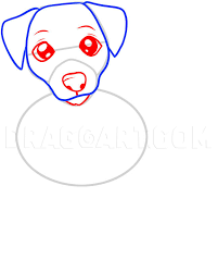 If you draw an animal using a how2drawanimals tutorial, email it to admin@ seinestudiosdotcom so we can feature it on the website! How To Draw A Jack Russell Terrier Step By Step Drawing Guide By Dawn Dragoart Com