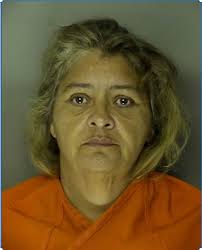 Suspect Search: Two suspects charged with stealing cash and a phone a third  with assault