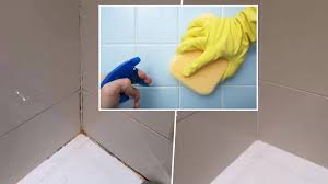 The principal reasons for floor cleaning are: Woman Reveals 5 Cleaning Hack That Can Remove Stubborn Mould From Your Bathroom Tiles Heart