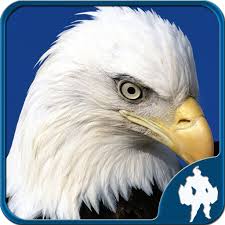 It gives you plenty of game options. Birds Jigsaw Puzzles Game Apk 1 9 18 Download For Android Download Birds Jigsaw Puzzles Game Apk Latest Version Apkfab Com