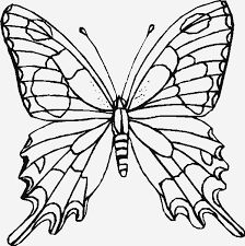 Pin By Lorrie Allred On Butterflies Butterfly Coloring Page Flower Coloring Pages Butterfly Printable