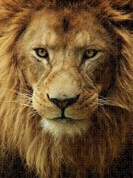 Decorative educa puzzles consisting of 367 pieces that, when put together, show a picture of a lion's head. Portrait Male African Lion Puzzle For Sale By Brit Finucci