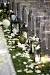 Low Budget Diy Backyard Weddings