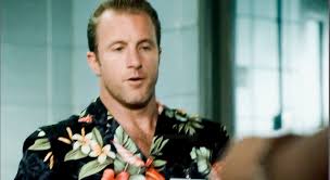 Hey, Hi, Hello — Danny in season 1: wearing lei (but he doesn't...
