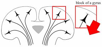 Pilato & yousif · song · 2018. Frontiers Multi Scale Computational Models For Electrical Brain Stimulation Human Neuroscience
