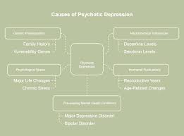 Image result for Depression with Psychotic Features Management