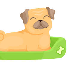 Image result for preposition on