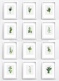 Herbs Chart Set Of 12 Spices Wall Decor Kitchen Art Print