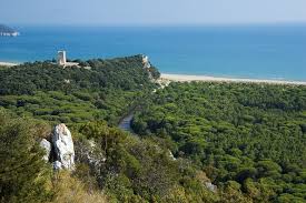 Blick Uber Den Parco Del Maremma In Der Toskana Italien Campingplatz Italien Italien Meer Toskana