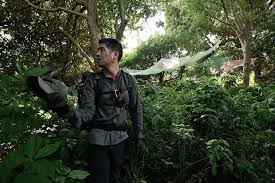 Image result for Crudia