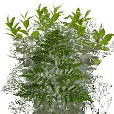 You can grow rosemary, lavender, and different herbs for this. Bouquets Greenery Wholesale Filler Flowers For Bouquets Globalrose