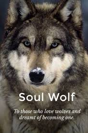 Check Out This Story By Princess Maya Sarker On Stellerstories Baby Wolves Wolf Eyes Beautiful Wolves
