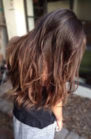15 Balayage Hair Color Ideas For Straight Hair 2018 Pics Bucket Balayage Asian Hair Balayage Straight Hair Balayage Hair