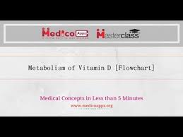 Metabolism Of Vitamin D