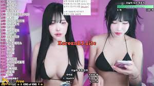 Performerrmrm1313s Recorded Cam show - Korean BJ