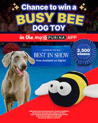 2,500 winners! Sign up for the myPurina app and enter for a chance to win  the digital movie and a Busy Bee Toy, inspired by the film “Best in Show”.  Sign up